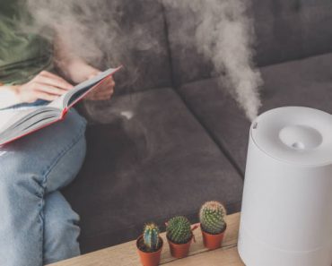 Quel est l’intérêt d’un humidificateur d’air ?