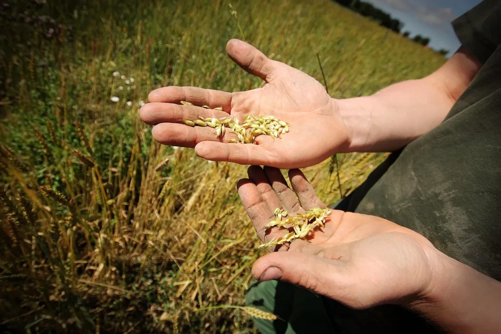 Innovations écologiques dans la construction en Vendée